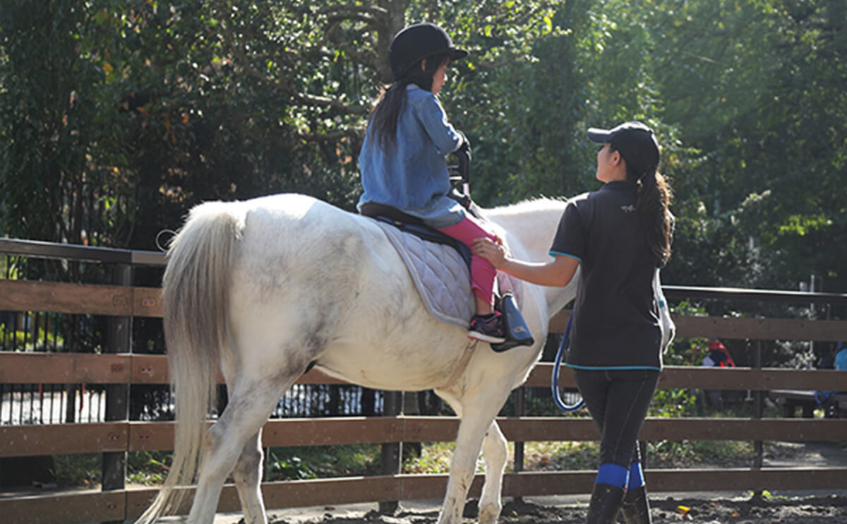 Pony Rider Skills Evaluation